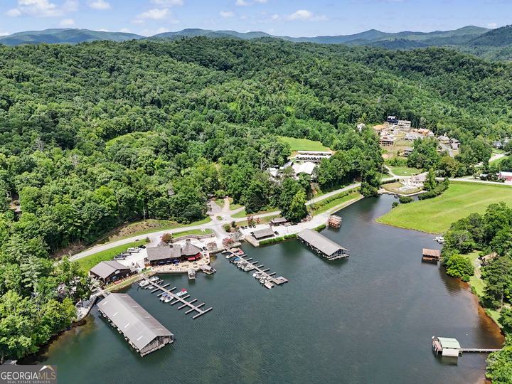 60 Cove View LN, Clarkesville, GA - Image #20