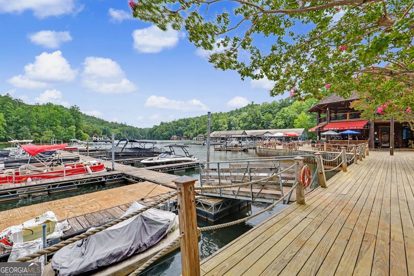 60 Cove View LN, Clarkesville, GA - Image #24