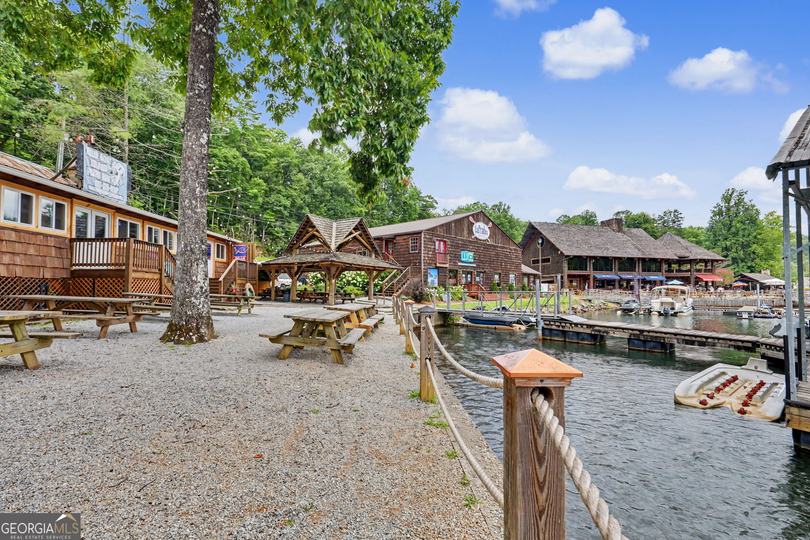 60 Cove View LN, Clarkesville, GA - Image #29
