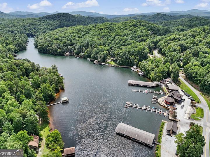 60 Cove View LN, Clarkesville, GA - Image #35