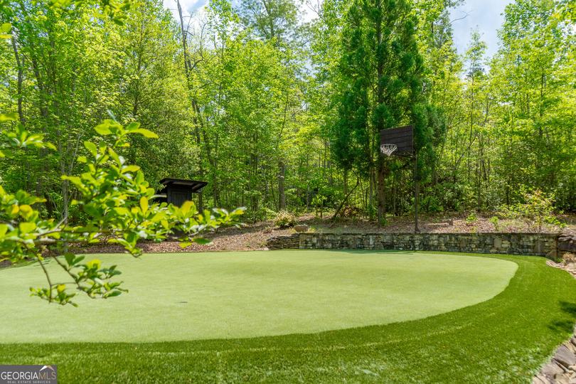 1 Burton Is, Tiger, GA - Image #85