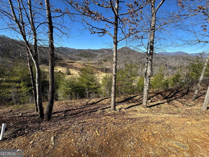 Lot J 41, Block J Bent Grass Way, Clayton, GA - Image #4