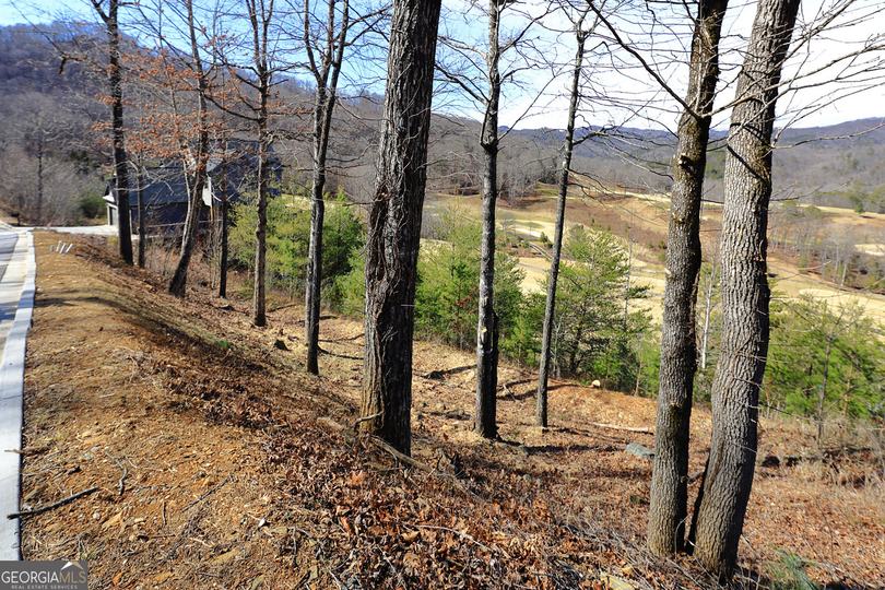 Lot J 41, Block J Bent Grass Way, Clayton, GA - Image #7