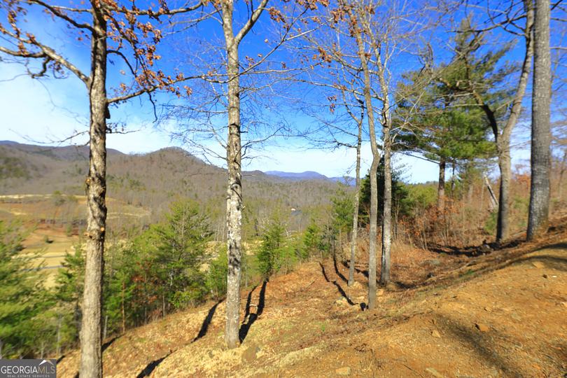 Lot J 41, Block J Bent Grass Way, Clayton, GA - Image #8
