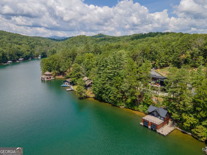 565 Wildflower Cir, Clarkesville, GA - Image #59