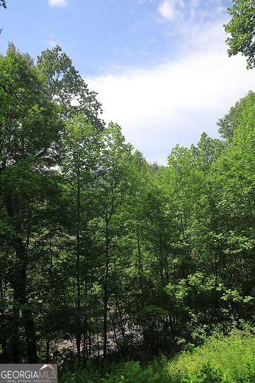 29/55 Cool Spring LN, Clayton, GA - Image #50