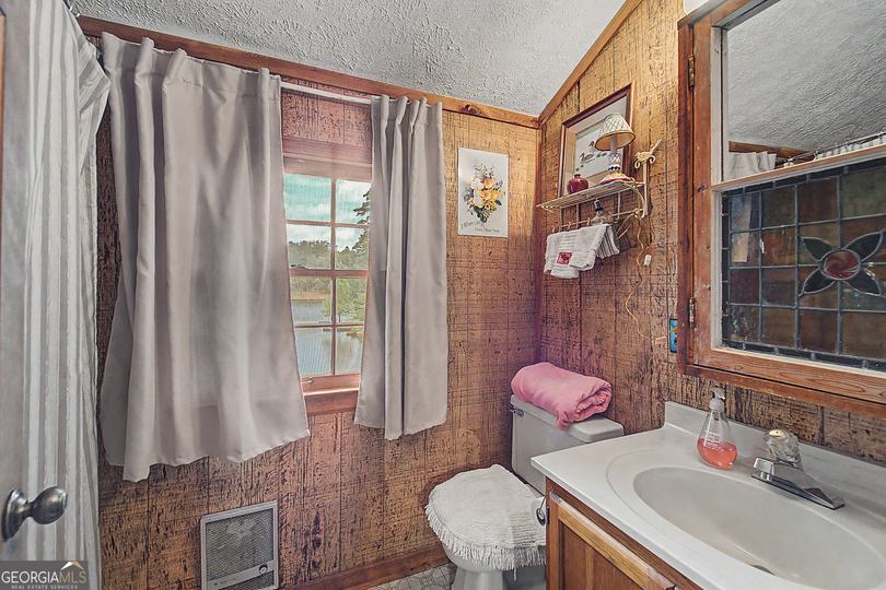 817 E Wildcat RD, Clarkesville, GA - Image #38