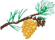 Carmel Pine Cone Awards