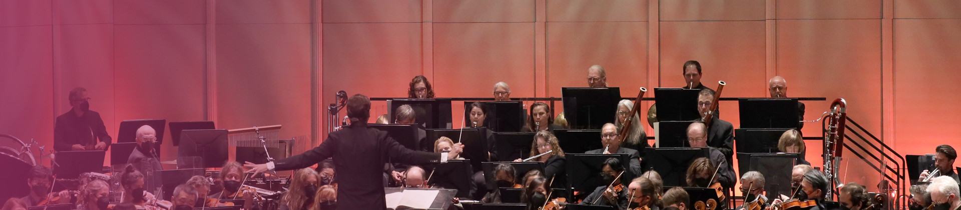 Image about The Musicians