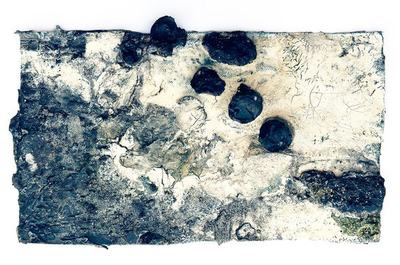 Image of Image about Five local artists selected for inaugural Monterey Biennial