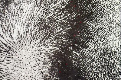 Image of Image about Artist Feature: Dvandvani - Force of Nature