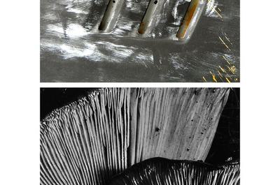 Image of Image about Artist Feature: Peter Hiller on Paint&Nature &ndash; Nature&Paint