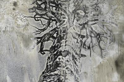 Image of Image about Photographer Jane Olin's show, &ldquo;Some Trees,&rdquo; opens Saturday and continues through Aug. 23