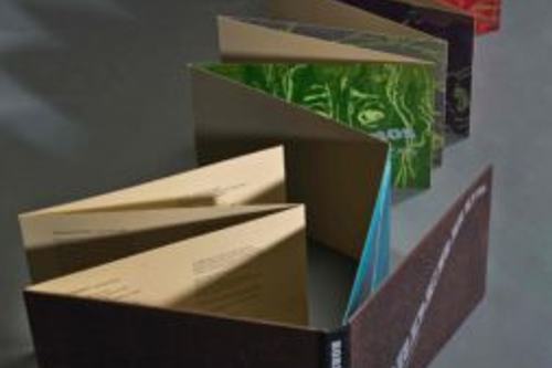 Felicia Rice in Virtual FLUX