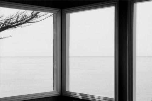 Currents: Lyle Gomes