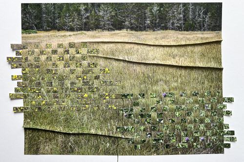 Landscape ReEnvisioned
