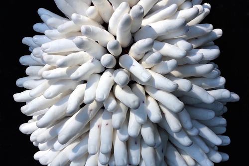 Currents: Annette Goodfriend