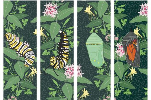 Jane Kim: Migrations
