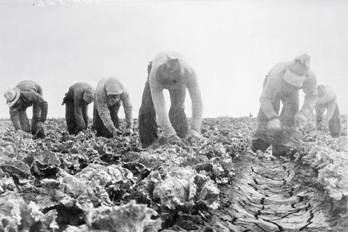 Dorothea Lange: 1935-1942