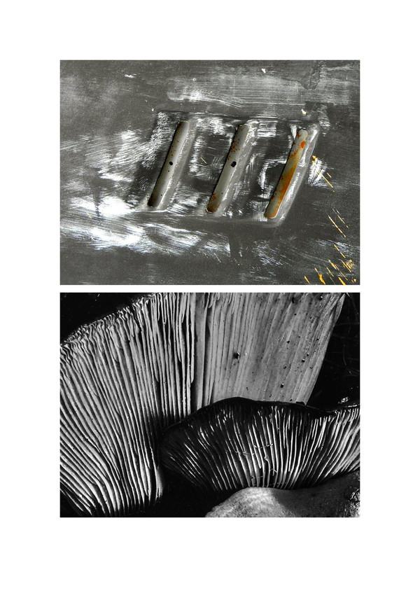 Image about Artist Feature: Peter Hiller on Paint&Nature &ndash; Nature&Paint