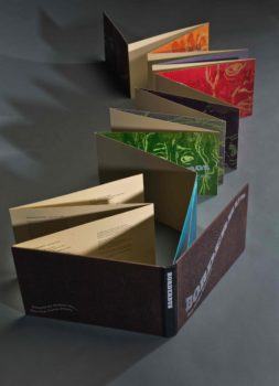 Felicia Rice in Virtual FLUX