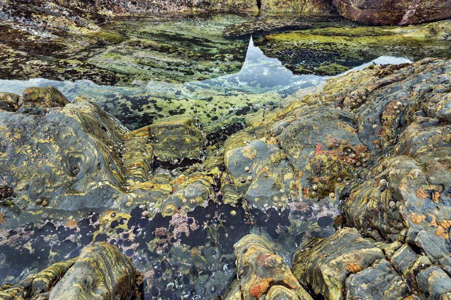 Bay of Life: From Wind to Whales