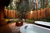 Glen Oaks Big Sur - Photo 5 (Thumbnail)