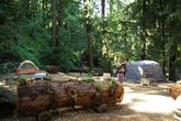 Riverside Campground & Cabins - Photo 4 (Thumbnail)