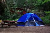 Riverside Campground & Cabins - Photo 5 (Thumbnail)