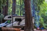 RV camping among the towering Coastal Redwoods (Thumbnail)