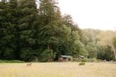 Cabins from the Meadow (Thumbnail)