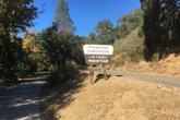 Pondorosa Campground - Photo 2 (Thumbnail)