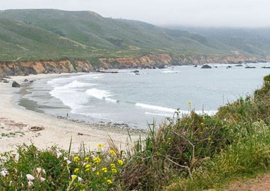 Andrew Molera State Park