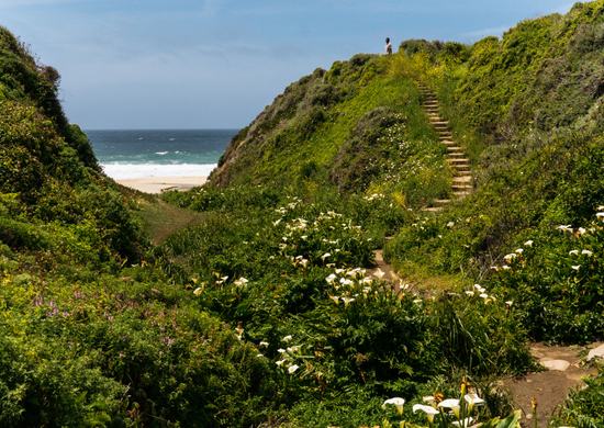 Garrapata State Park