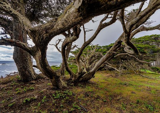 Point Lobos State Natural Reserve - Photo 1 (Thumbnail)