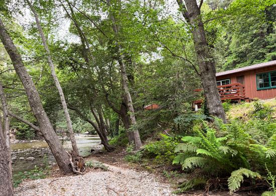 Riverside cabin at Ripplewood Resort, steps from the Big Sur River. (Thumbnail)
