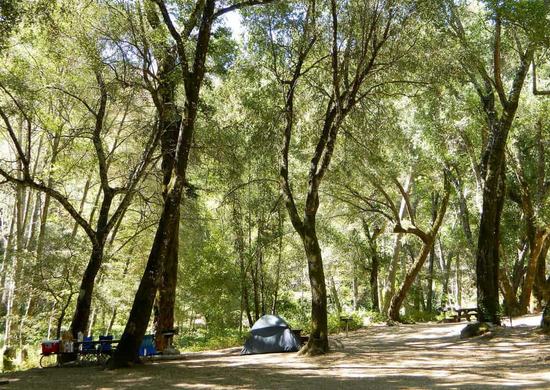 Nacimiento Campground
