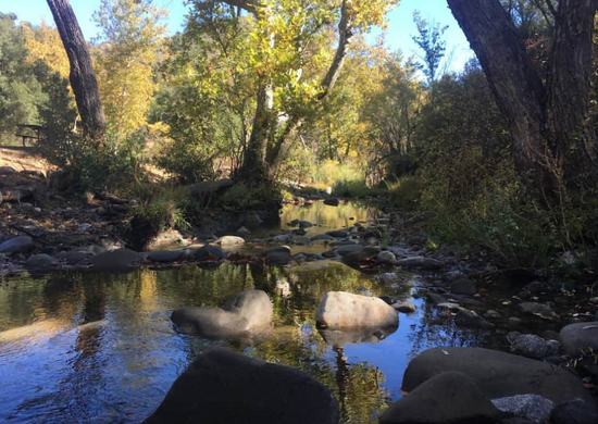 Pondorosa Campground - Photo 1 (Thumbnail)