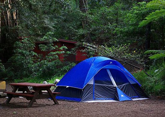 Riverside Campground & Cabins - Photo 1 (Thumbnail)