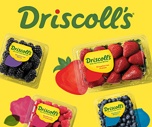 Driscoll's