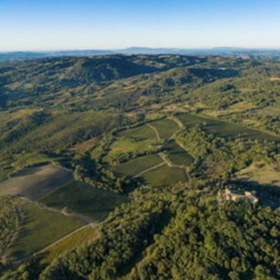 Image of Castello Di Montep&ograve;: The Future of the Biondi Santi Family