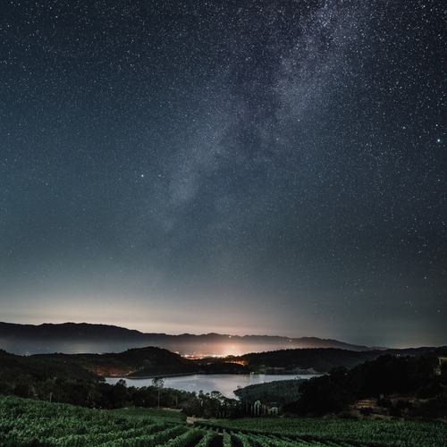 Bryant Family: Image #111