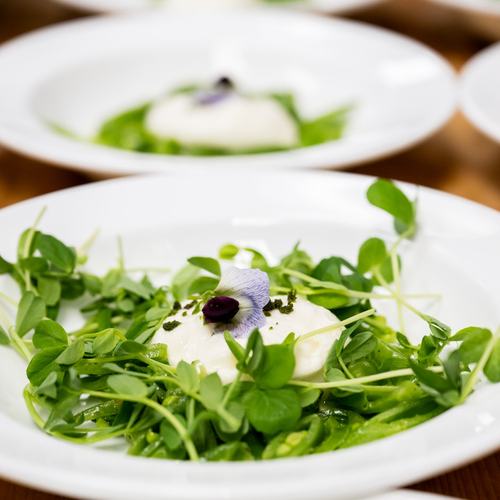 Vegetarian Lunch: Image #200