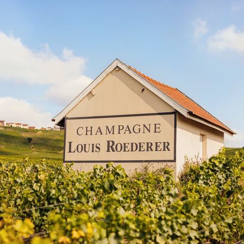 louis roederer: Image #313