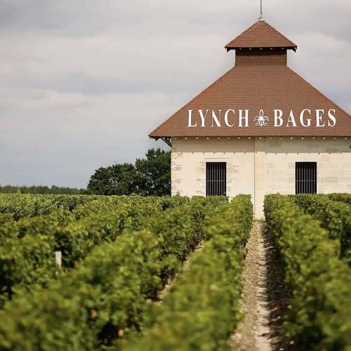 Lynch: Image #339