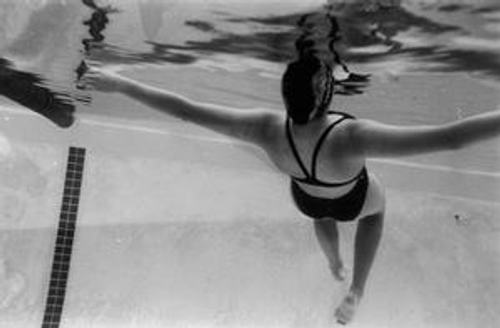 Image about Annual Photography Auction Comes to Santa Catalina