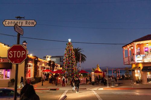 Image about Holiday Tree on Cannery Row Lights Up for the 26th Year