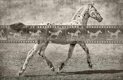 Image about Four New Exhibits to Open at the Pacific Grove Art Center on display from July 4-August 28, 2025