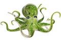 *Hopko Glass Handblown Glass Sculptures