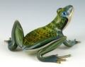Quantum Glass Rippleback Glass Frogs